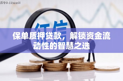 泰武保单质押贷款，解锁资金流动性的智慧之选