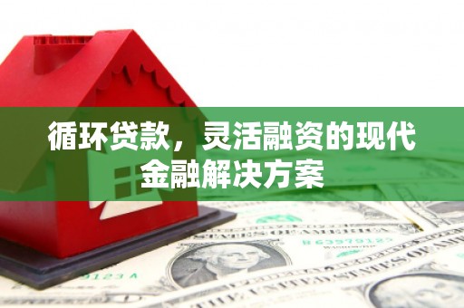 泰武循环贷款，灵活融资的现代金融解决方案