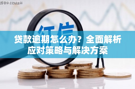 泰武贷款逾期怎么办？全面解析应对策略与解决方案