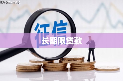 泰武长期限贷款