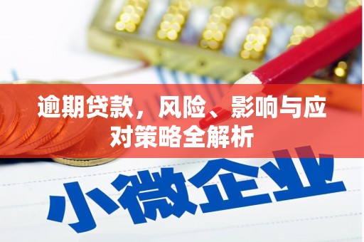 泰武逾期贷款，风险、影响与应对策略全解析
