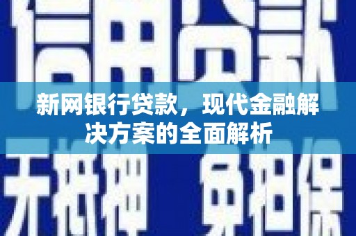 泰武新网银行贷款，现代金融解决方案的全面解析