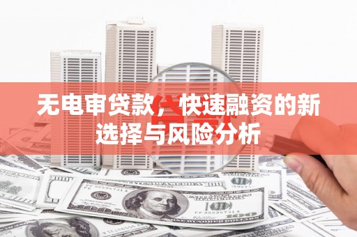 泰武无电审贷款，快速融资的新选择与风险分析