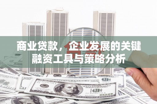 泰武商业贷款，企业发展的关键融资工具与策略分析