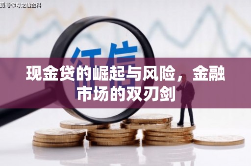 泰武现金贷的崛起与风险，金融市场的双刃剑