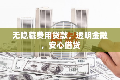 泰武无隐藏费用贷款，透明金融，安心借贷