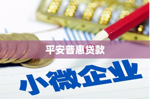 泰武平安普惠贷款