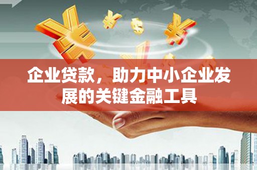 泰武企业贷款，助力中小企业发展的关键金融工具