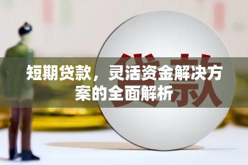 泰武短期贷款，灵活资金解决方案的全面解析