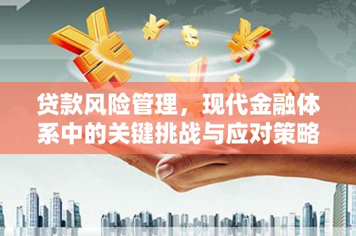 泰武贷款风险管理，现代金融体系中的关键挑战与应对策略
