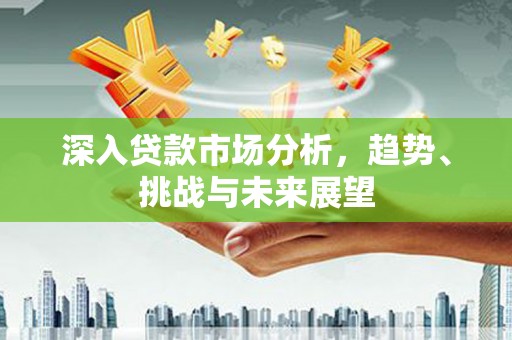 泰武深入贷款市场分析，趋势、挑战与未来展望