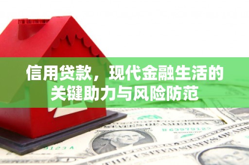 泰武信用贷款，现代金融生活的关键助力与风险防范