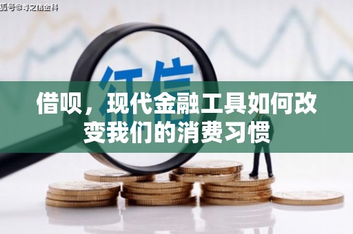 泰武借呗，现代金融工具如何改变我们的消费习惯