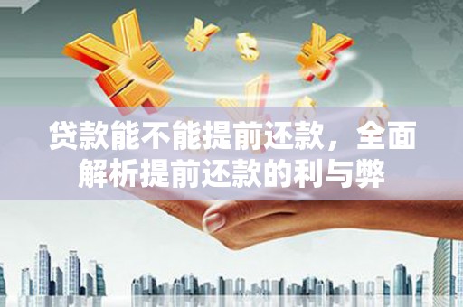 泰武贷款能不能提前还款，全面解析提前还款的利与弊
