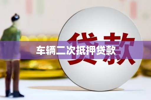 泰武车辆二次抵押贷款