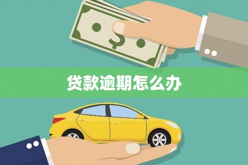 泰武贷款逾期怎么办