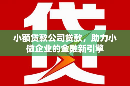 泰武小额贷款公司贷款，助力小微企业的金融新引擎