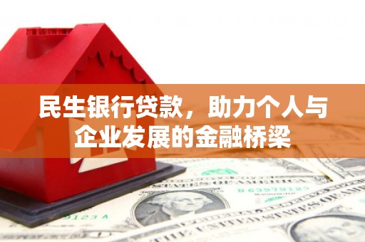 泰武民生银行贷款，助力个人与企业发展的金融桥梁
