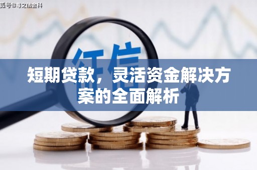 泰武短期贷款，灵活资金解决方案的全面解析