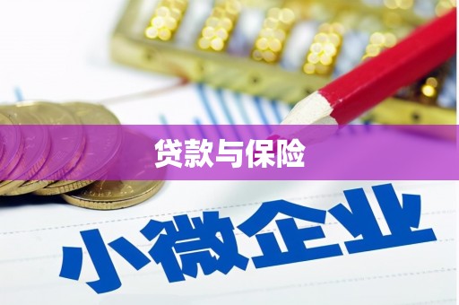 泰武贷款与保险