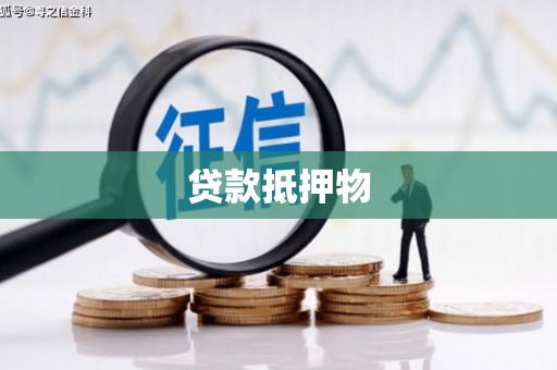 泰武贷款抵押物