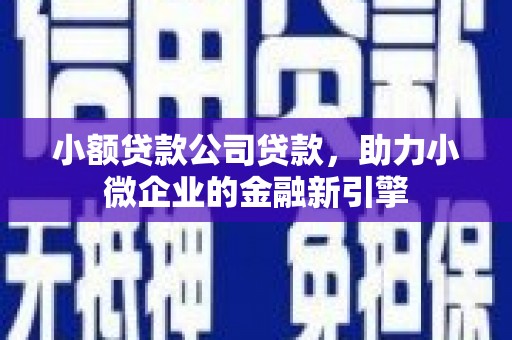 泰武小额贷款公司贷款，助力小微企业的金融新引擎