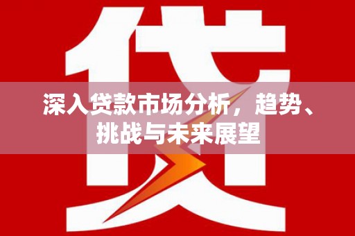 泰武深入贷款市场分析，趋势、挑战与未来展望