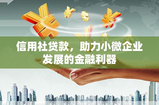 泰武信用社贷款，助力小微企业发展的金融利器