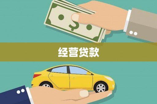 泰武经营贷款
