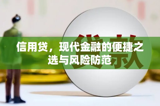 泰武信用贷，现代金融的便捷之选与风险防范