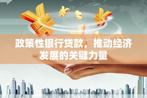 泰武政策性银行贷款，推动经济发展的关键力量