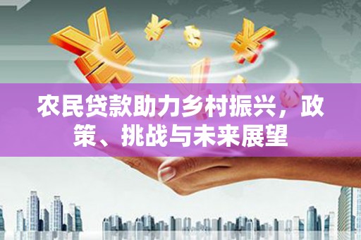 泰武农民贷款助力乡村振兴，政策、挑战与未来展望