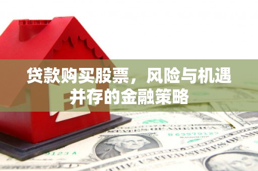 泰武贷款购买股票，风险与机遇并存的金融策略