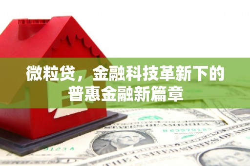 泰武微粒贷，金融科技革新下的普惠金融新篇章