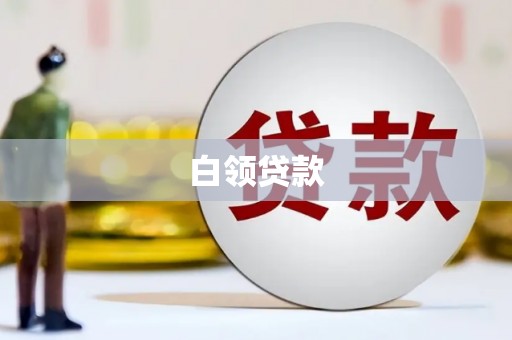 泰武白领贷款
