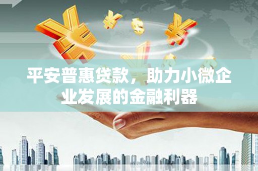 泰武平安普惠贷款，助力小微企业发展的金融利器