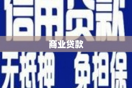 泰武商业贷款
