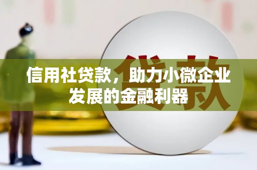 泰武信用社贷款，助力小微企业发展的金融利器