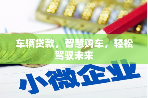 泰武车辆贷款，智慧购车，轻松驾驭未来