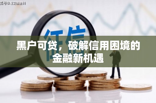 泰武黑户可贷，破解信用困境的金融新机遇