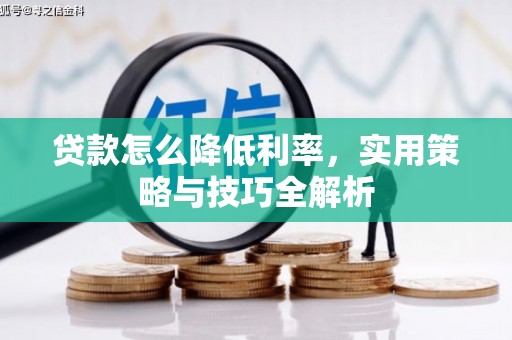 泰武贷款怎么降低利率，实用策略与技巧全解析