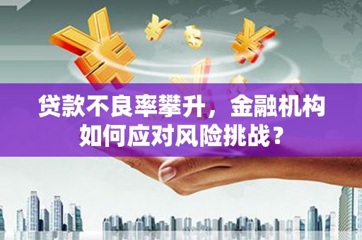 泰武贷款不良率攀升，金融机构如何应对风险挑战？
