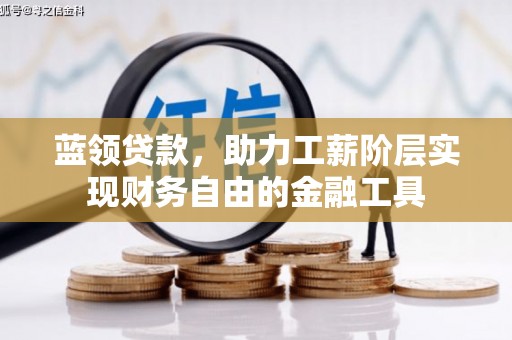 泰武蓝领贷款，助力工薪阶层实现财务自由的金融工具