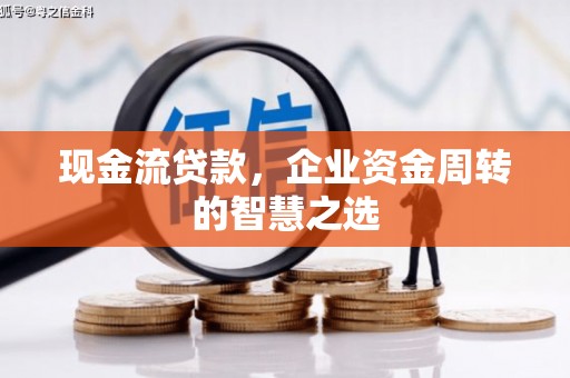 泰武现金流贷款，企业资金周转的智慧之选