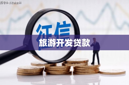 泰武旅游开发贷款