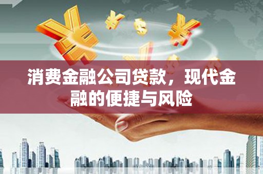 泰武消费金融公司贷款，现代金融的便捷与风险
