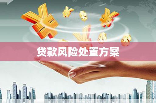 泰武贷款风险处置方案