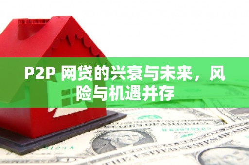 泰武P2P 网贷的兴衰与未来，风险与机遇并存