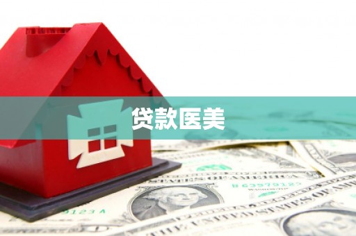 泰武贷款医美