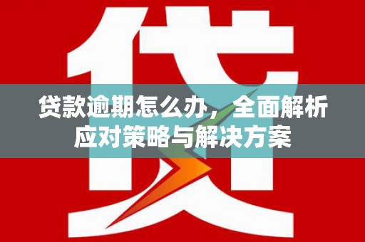 泰武贷款逾期怎么办，全面解析应对策略与解决方案